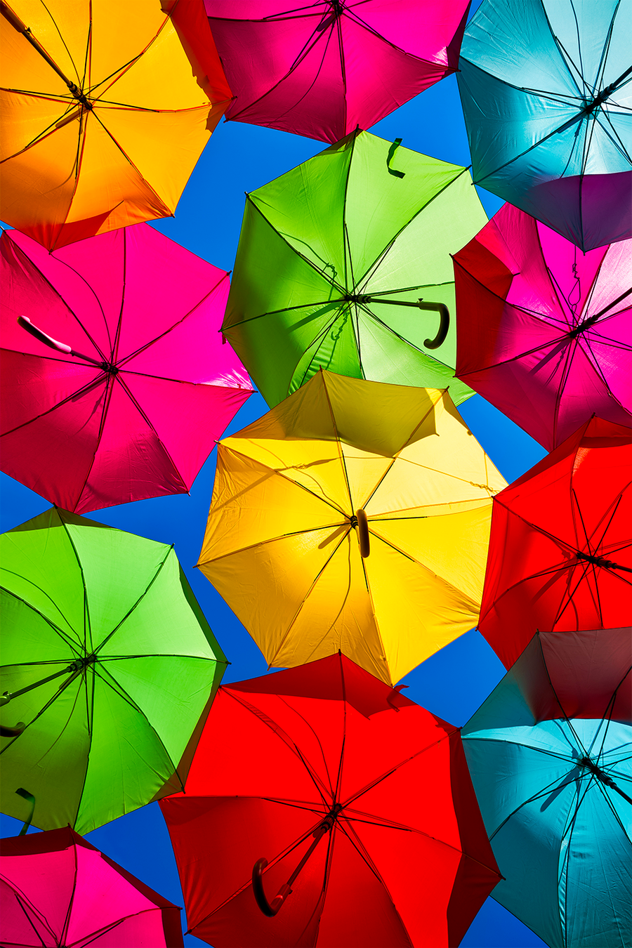Vivid Brand Colors