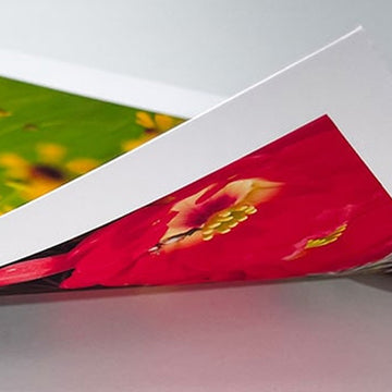 Proof Line DS Matte 90