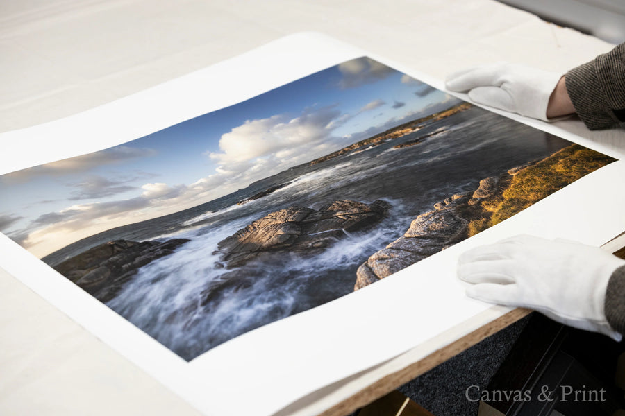 Fine Art Reproductions