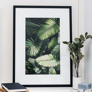 Proof Line Matte M160 AQ