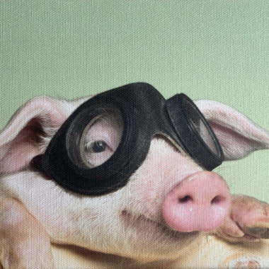 Aurora Expressions Matte Canvas