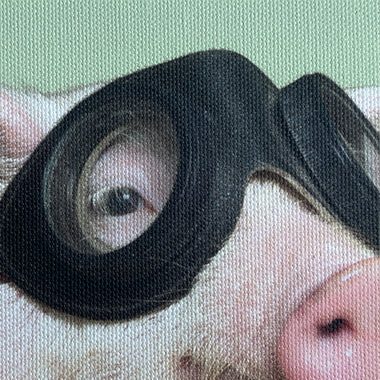 Aurora Expressions Matte Canvas - 0