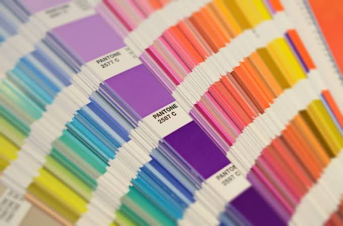 Vivid Brand Colors